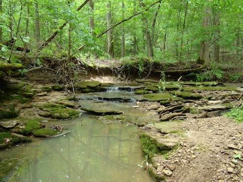Storment Hauss Nature Preserve